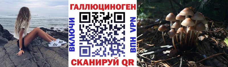 мориарти официальный сайт  где продают   Неман  Галлюциногенные грибы мицелий 